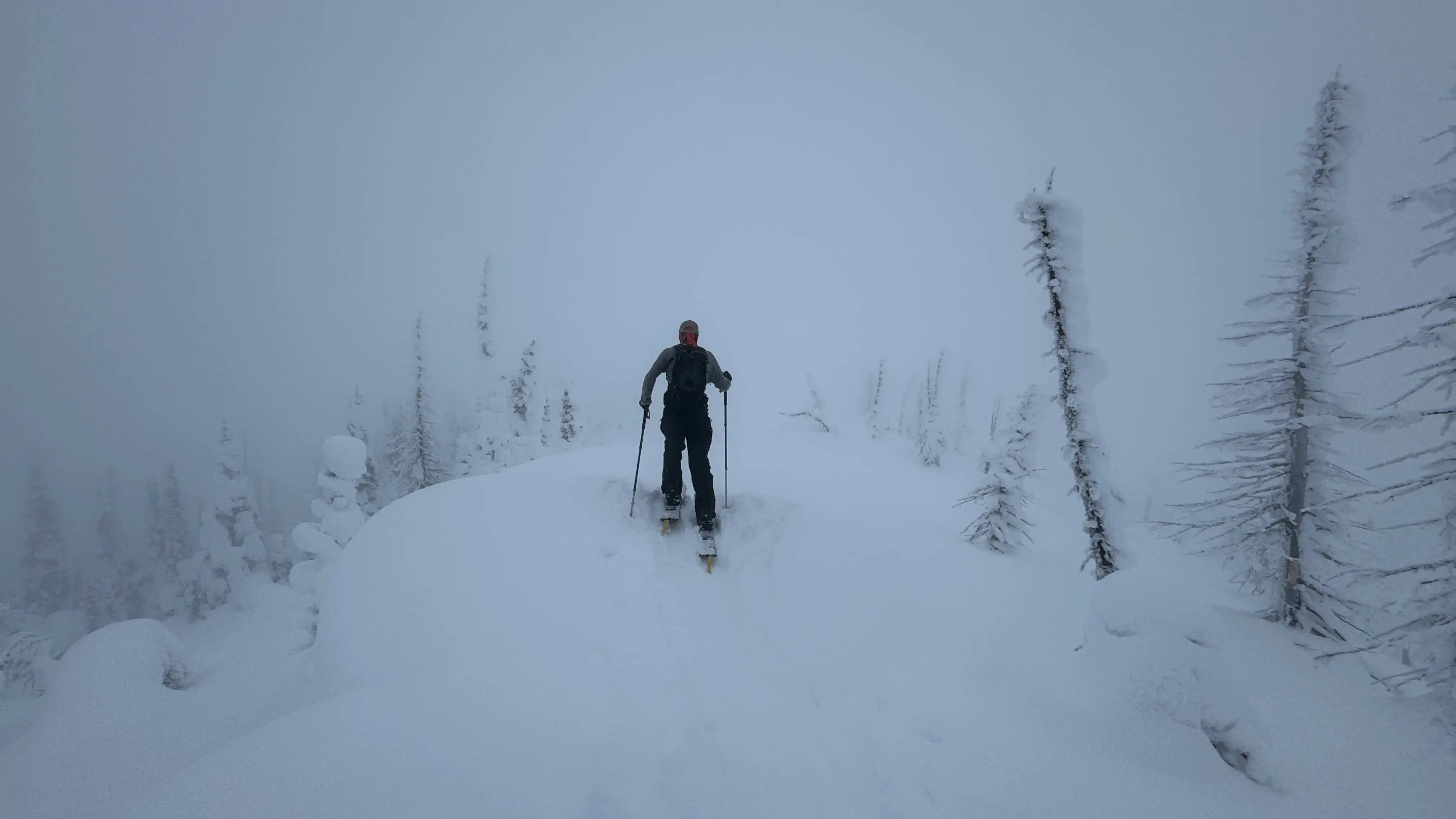 Touring at Mt. Brown