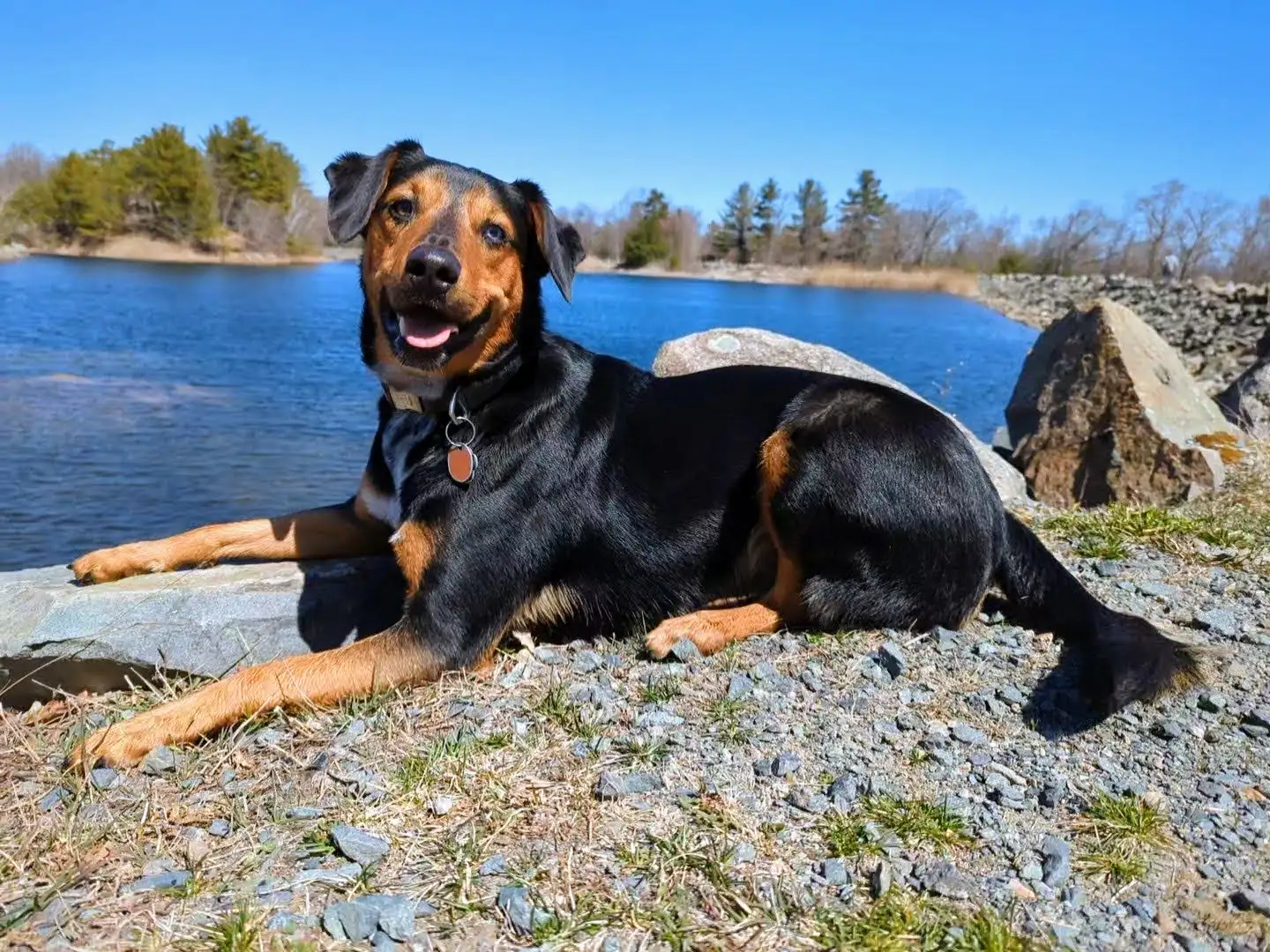 Conrad hiking at Fells